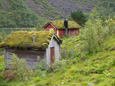 Ship cruise in the norwegian fjords