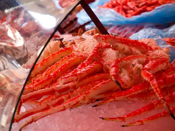 Ship cruise in the norwegian fjords