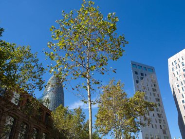 İspanya 'daki Barselona şehri.