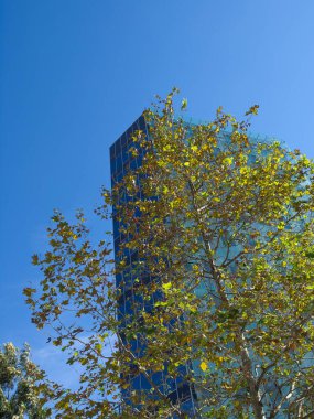 İspanya 'daki Barselona şehri.