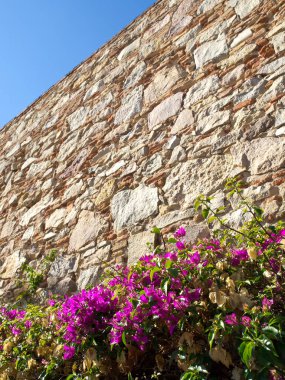 İspanya 'daki Barselona şehri.