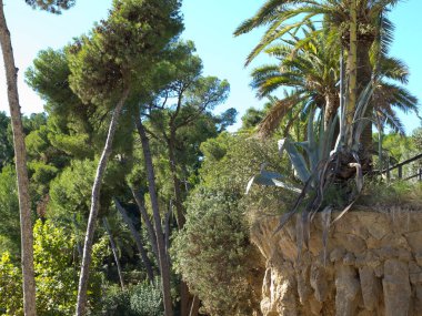 İspanya 'daki Barselona şehri.