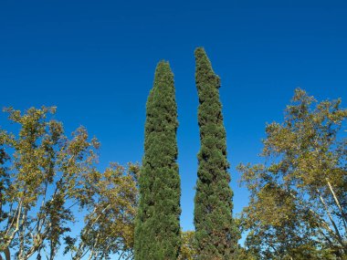 İspanya 'daki Barselona şehri.