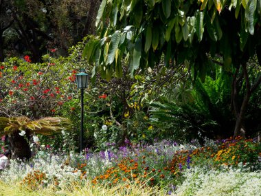 the portugese island auf Madeira