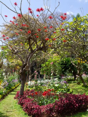the portugese island auf Madeira