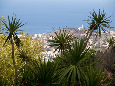 the portugese island auf Madeira