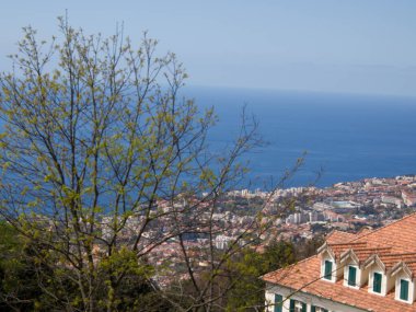 the portugese island auf Madeira