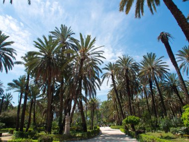 the city of palermo in italy
