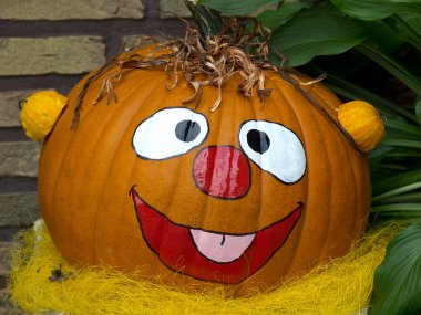 Almanya'da birçok kabak