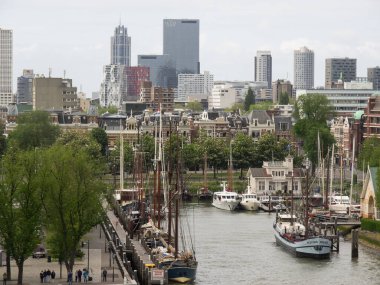 Rotterdam city in the netherlands