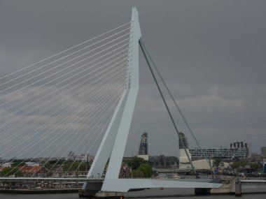Rotterdam city in the netherlands