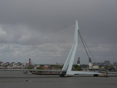 Rotterdam city in the netherlands