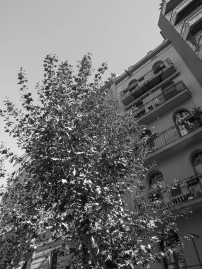 İspanya 'nın Barselona kenti