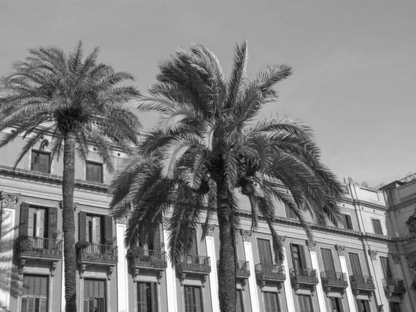 İspanya 'nın Barselona kenti