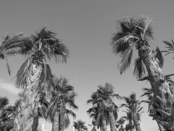 İspanya 'nın Barselona kenti