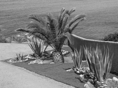 the island of corsica in france