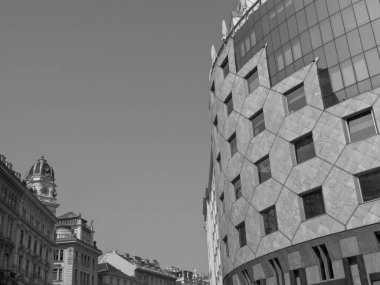 Avusturya 'daki Viyana şehri.