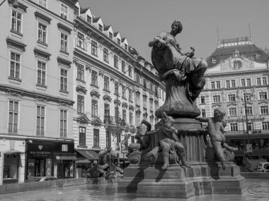 Avusturya 'daki Viyana şehri.