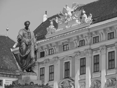 Avusturya 'daki Viyana şehri.