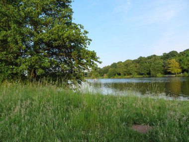 small lake near borken in westphalia