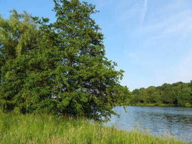 small lake near borken in westphalia