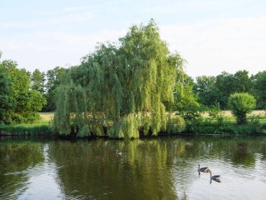 small lake near borken in westphalia