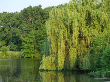 small lake near borken in westphalia