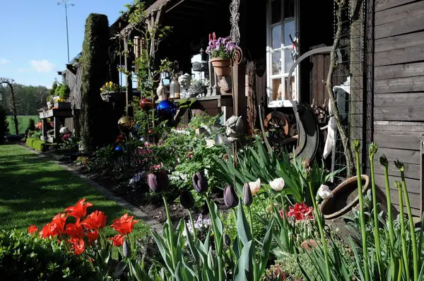 Blumen Einem Deutschen Garten Zur Frühlingszeit — Stockfoto
