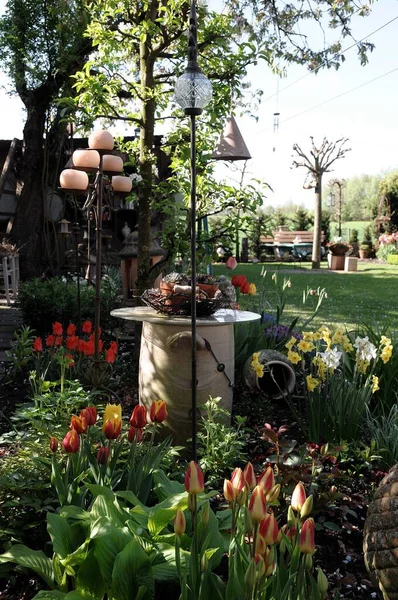 Flowers German Garden Spring Time — Stock Photo, Image