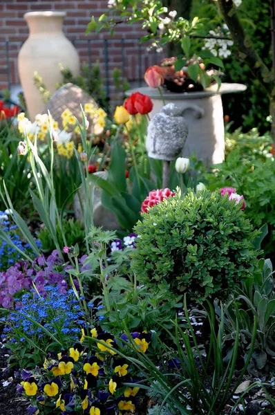 Flores Jardín Alemán Primavera —  Fotos de Stock