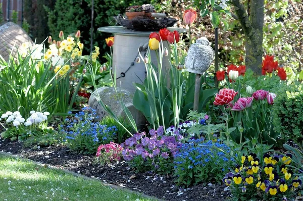 stock image Flowers in a german garden at spring time