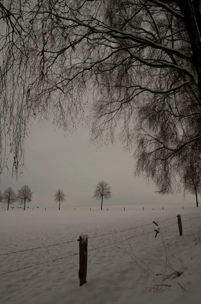 Téli Időszámítás Weetphaliában — Stock Fotó