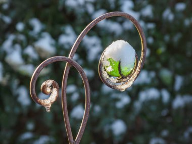 Alman Bahçe kış döneminde