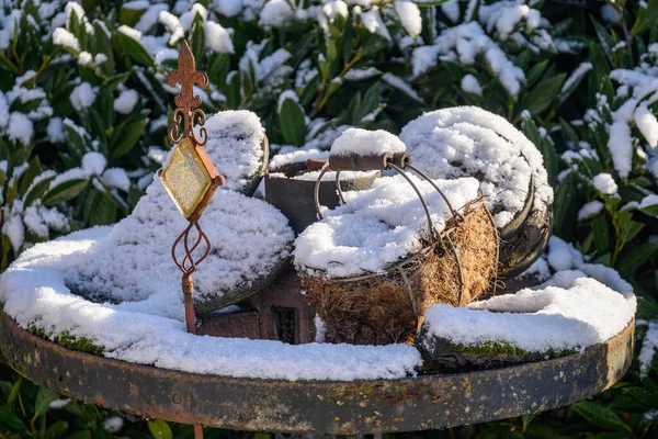 Зимнее Время Немецком Саду — стоковое фото