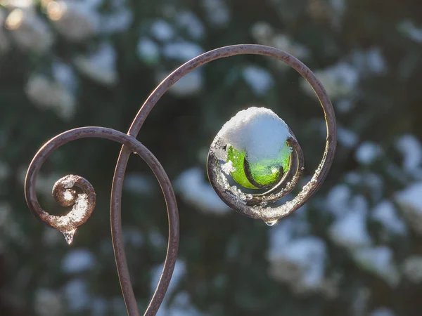 Téli Időszakban Német Kertben — Stock Fotó
