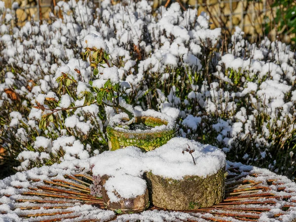 Зимнее Время Немецком Саду — стоковое фото