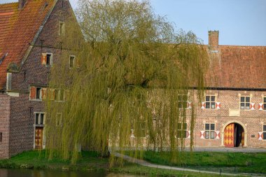 Urk şehri ve Hollanda 'da bahar zamanı birçok lale.