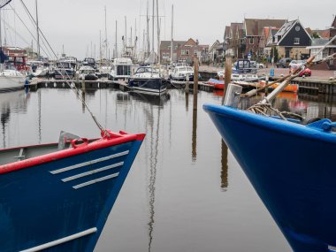 Urk şehri ve Hollanda 'da bahar zamanı birçok lale.