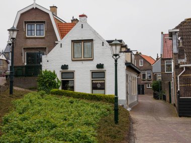 Urk şehri ve Hollanda 'da bahar zamanı birçok lale.