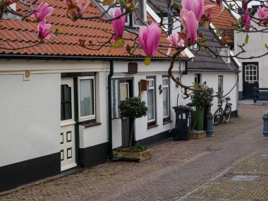 Urk şehri ve Hollanda 'da bahar zamanı birçok lale.