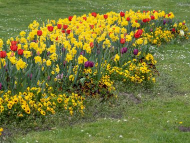 Alman bahçesinde bahar geldi.