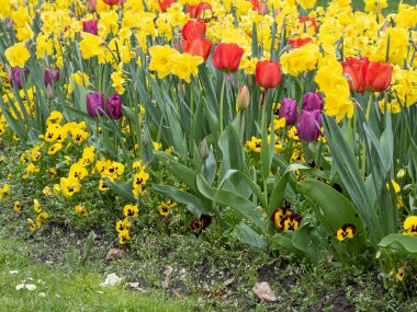 Alman bahçesinde bahar geldi.