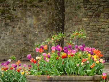 Almanya 'daki Moselle nehrinin Trier kenti.