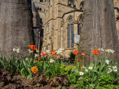 Almanya 'daki Moselle nehrinin Trier kenti.