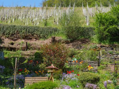 Saarburg 'da küçük bir şehir, Almanya' da saar nehrinde.