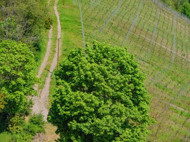 Saarburg 'da küçük bir şehir, Almanya' da saar nehrinde.