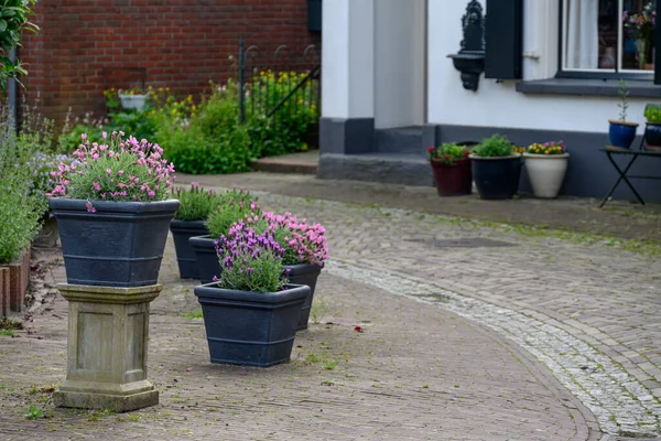 Stock image the old city of Bredevoort in the Netherlands