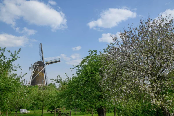 荷兰的一个古老的城市 — 图库照片