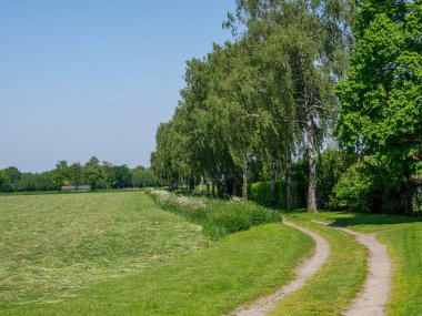 Alman Munesterland 'inde bahar geldi.