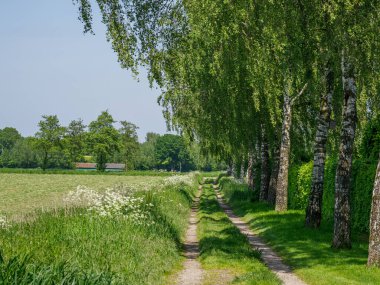 Alman Munesterland 'inde bahar geldi.